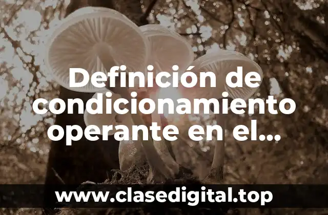 Definición de condicionamiento operante en el ámbito educativo