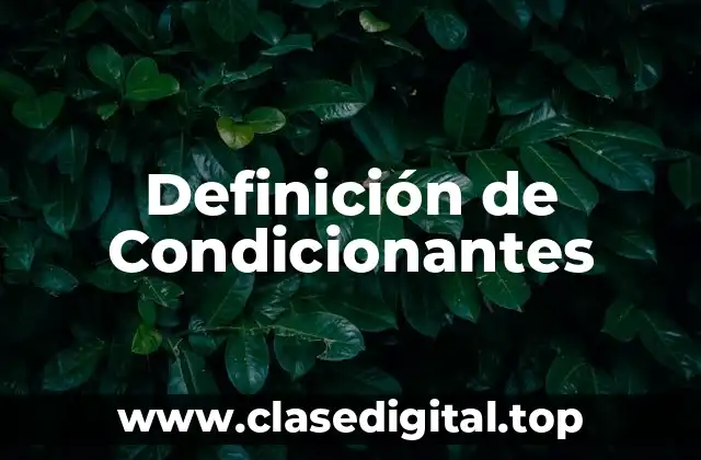Definición de Condicionantes