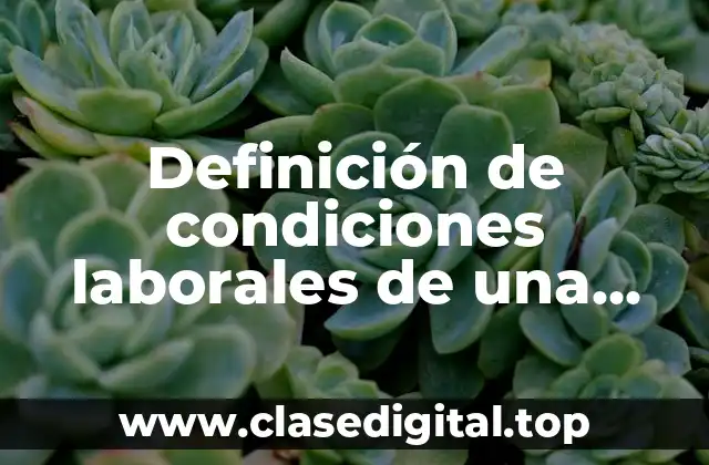 Definición de condiciones laborales de una empresa
