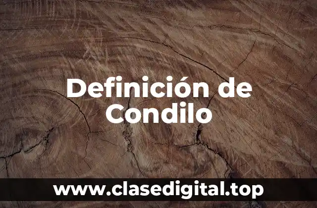 Definición técnica de Condilo