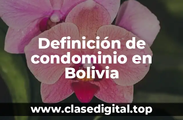 Definición de condominio en Bolivia