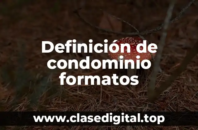 Definición de condominio formatos