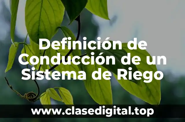 Definición de Conducción de un Sistema de Riego