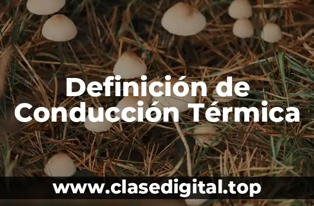 Definición de Conducción Térmica