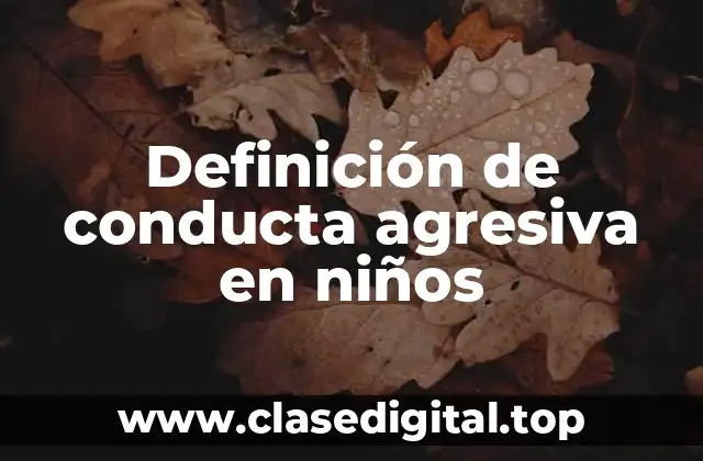 Definición de conducta agresiva en niños