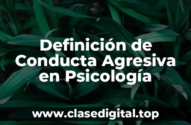Definición de Conducta Agresiva en Psicología