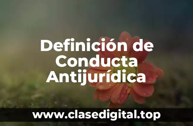 Definición de Conducta Antijurídica