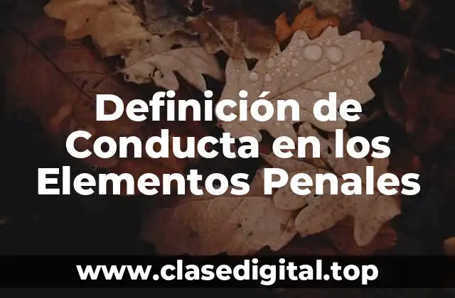 Definición de Conducta en los Elementos Penales