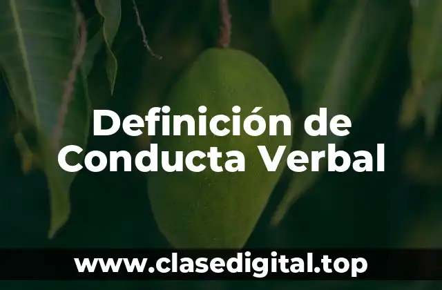 Definición de Conducta Verbal