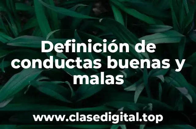 Definición de conductas buenas y malas