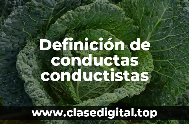 Definición de conductas conductistas