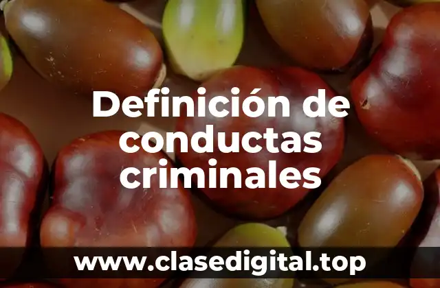 Definición de conductas criminales