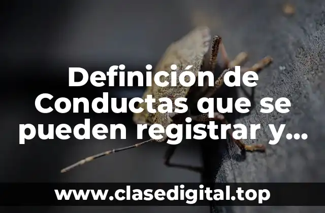 Definición de Conductas que se pueden registrar y observar