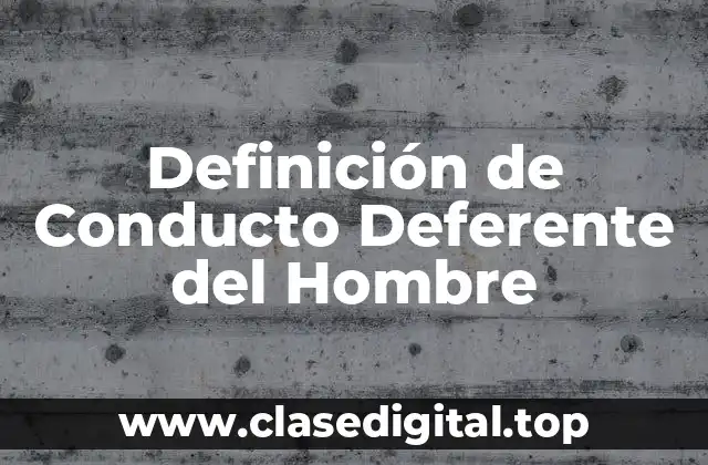 Definición de Conducto Deferente del Hombre