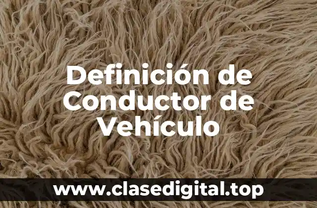 Definición de Conductor de Vehículo