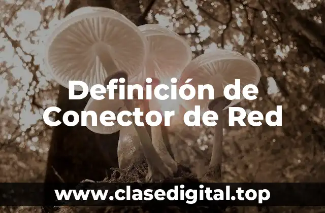 Definición de Conector de Red