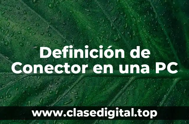 Definición de Conector en una PC