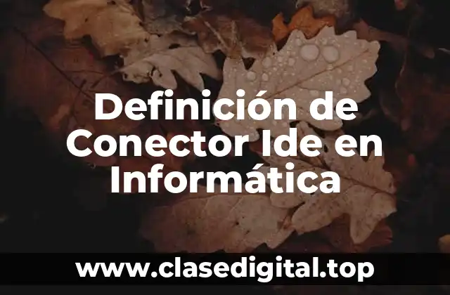 Definición de Conector Ide en Informática