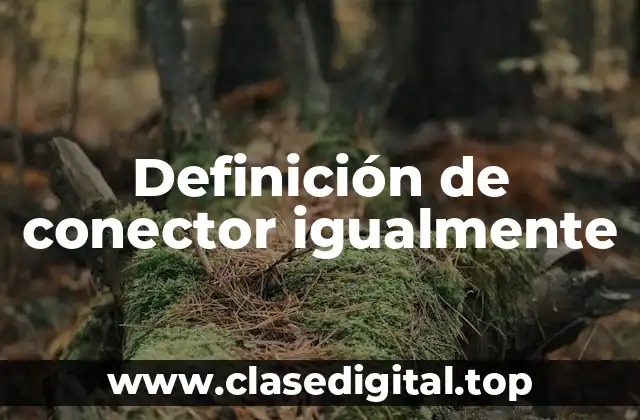 Definición de conector igualmente