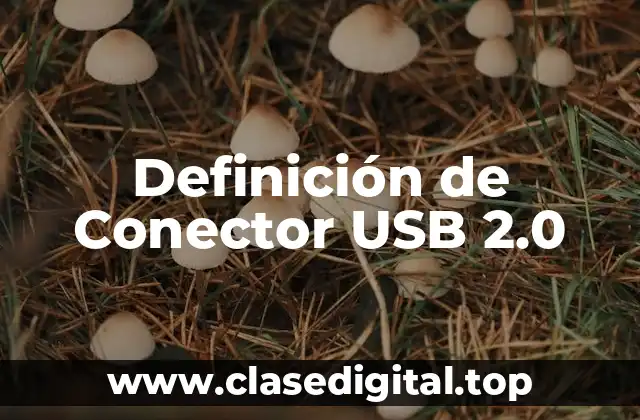 Definición de Conector USB 2.0