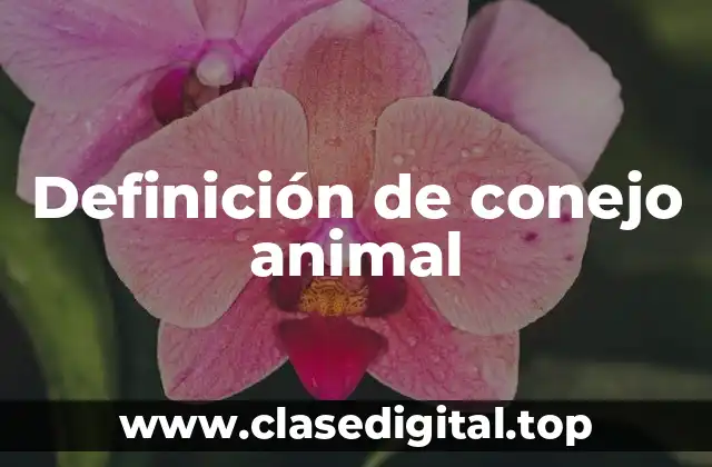 Definición de conejo animal