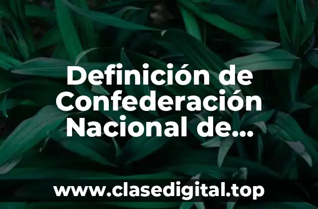 Definición de Confederación Nacional de Trabajadores Universitarios