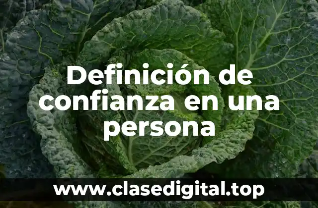 Definición de confianza en una persona