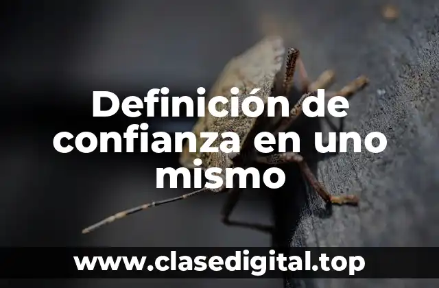 Definición de confianza en uno mismo