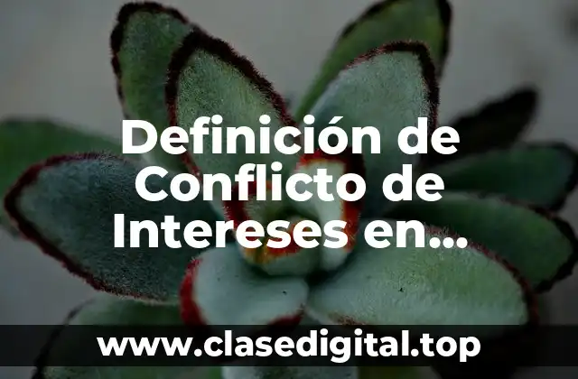 Definición técnica de Conflicto de Intereses