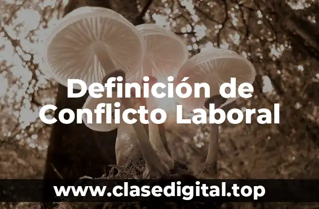 Definición de Conflicto Laboral