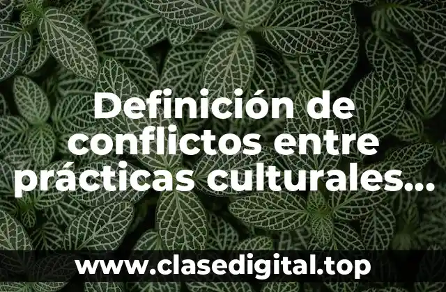 Definición de conflictos entre prácticas culturales y derechos humanos