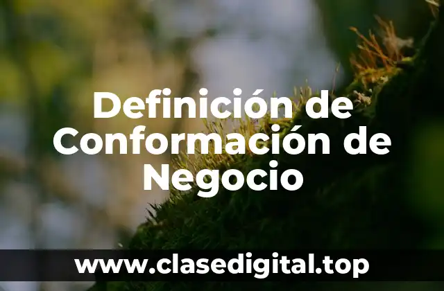 Definición de Conformación de Negocio