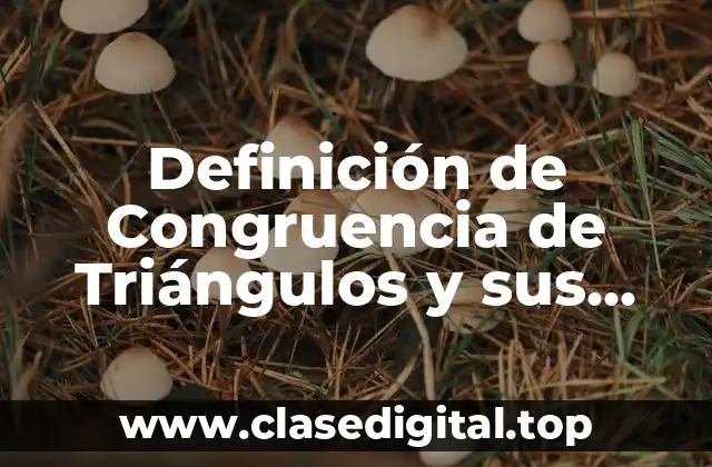 Definición de Congruencia de Triángulos y sus Criterios