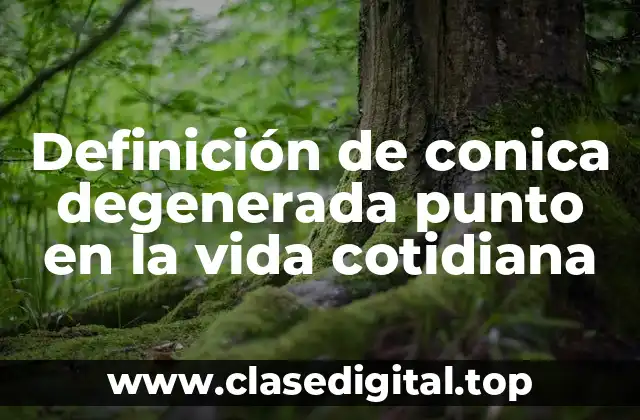 Definición de conica degenerada punto en la vida cotidiana