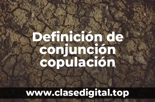Definición de conjunción copulación