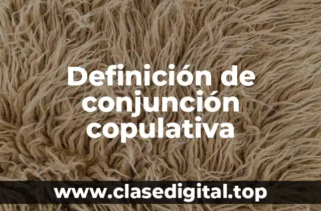 Definición de conjunción copulativa