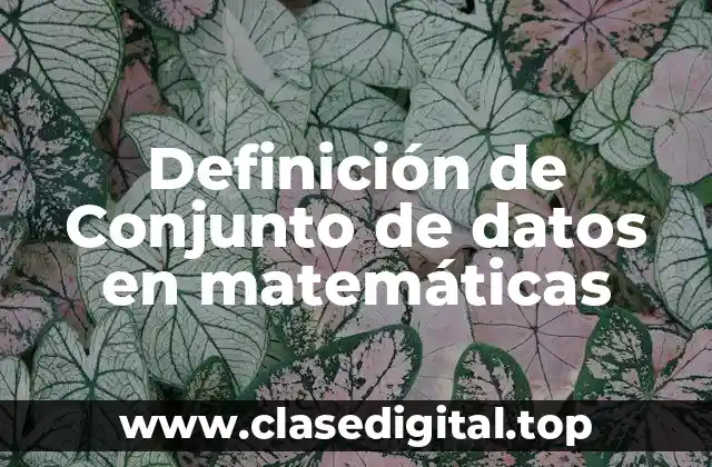 Definición técnica de conjunto de datos