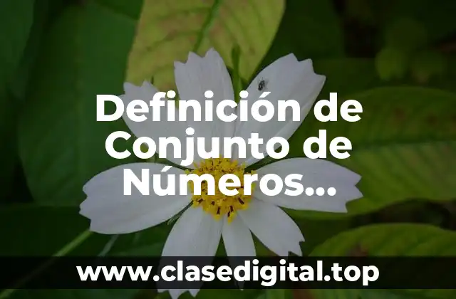 Definición de Conjunto de Números Imaginarios