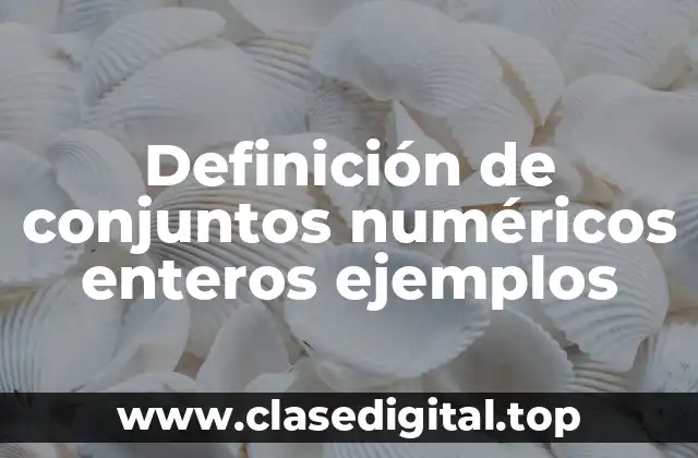 Definición de conjuntos numéricos enteros ejemplos