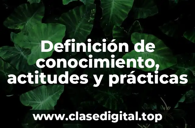 Definición de conocimiento, actitudes y prácticas