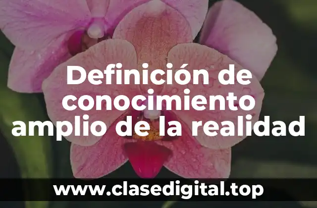 Definición de conocimiento amplio de la realidad