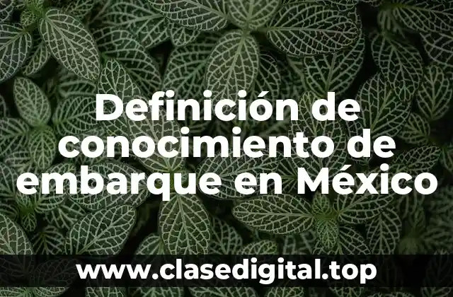 Definición de conocimiento de embarque en México