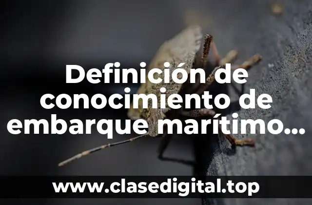 Definición de conocimiento de embarque marítimo comercio exterior