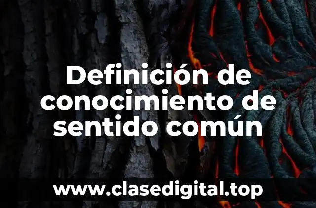 Definición técnica de conocimiento de sentido común