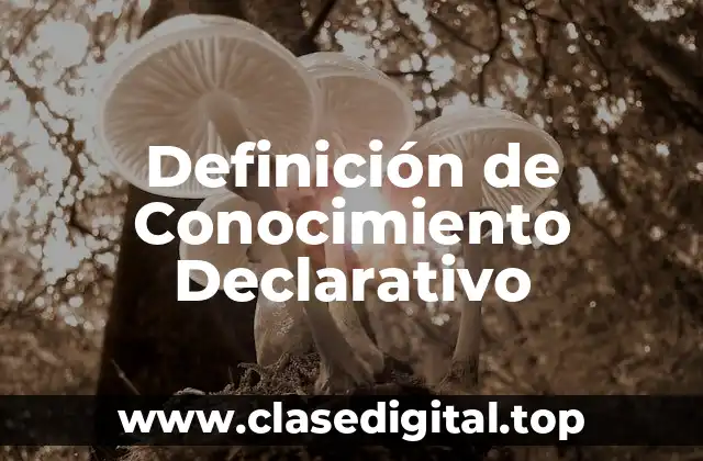 Definición de Conocimiento Declarativo