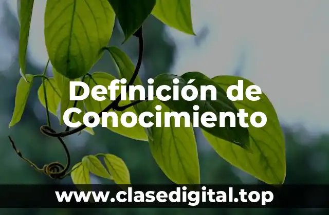 Definición técnica de Conocimiento