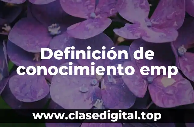 Definición de conocimiento emp