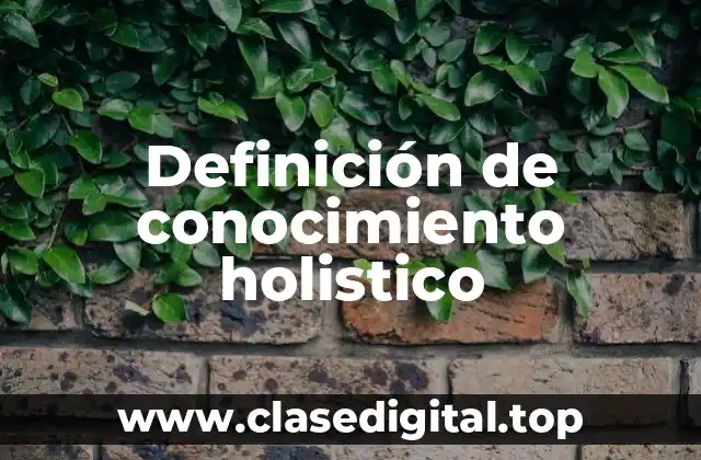 Ejemplos de conocimiento holistico