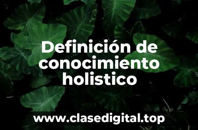 Definición técnica de conocimiento holistico
