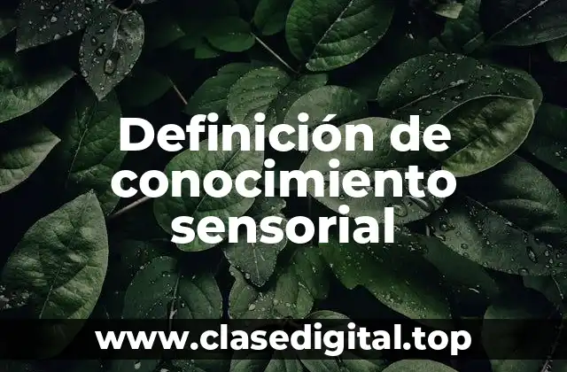 Definición de conocimiento sensorial